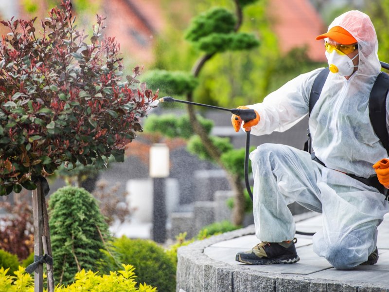 Darıca Haşere İlaçlama