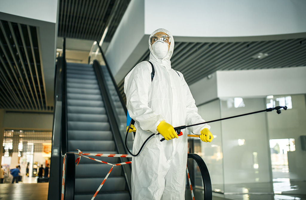 Darıca Haşere İlaçlama